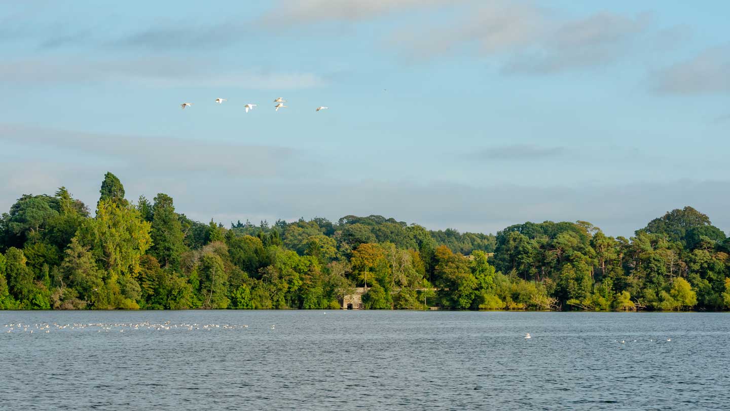 The Mere, Ellesmere